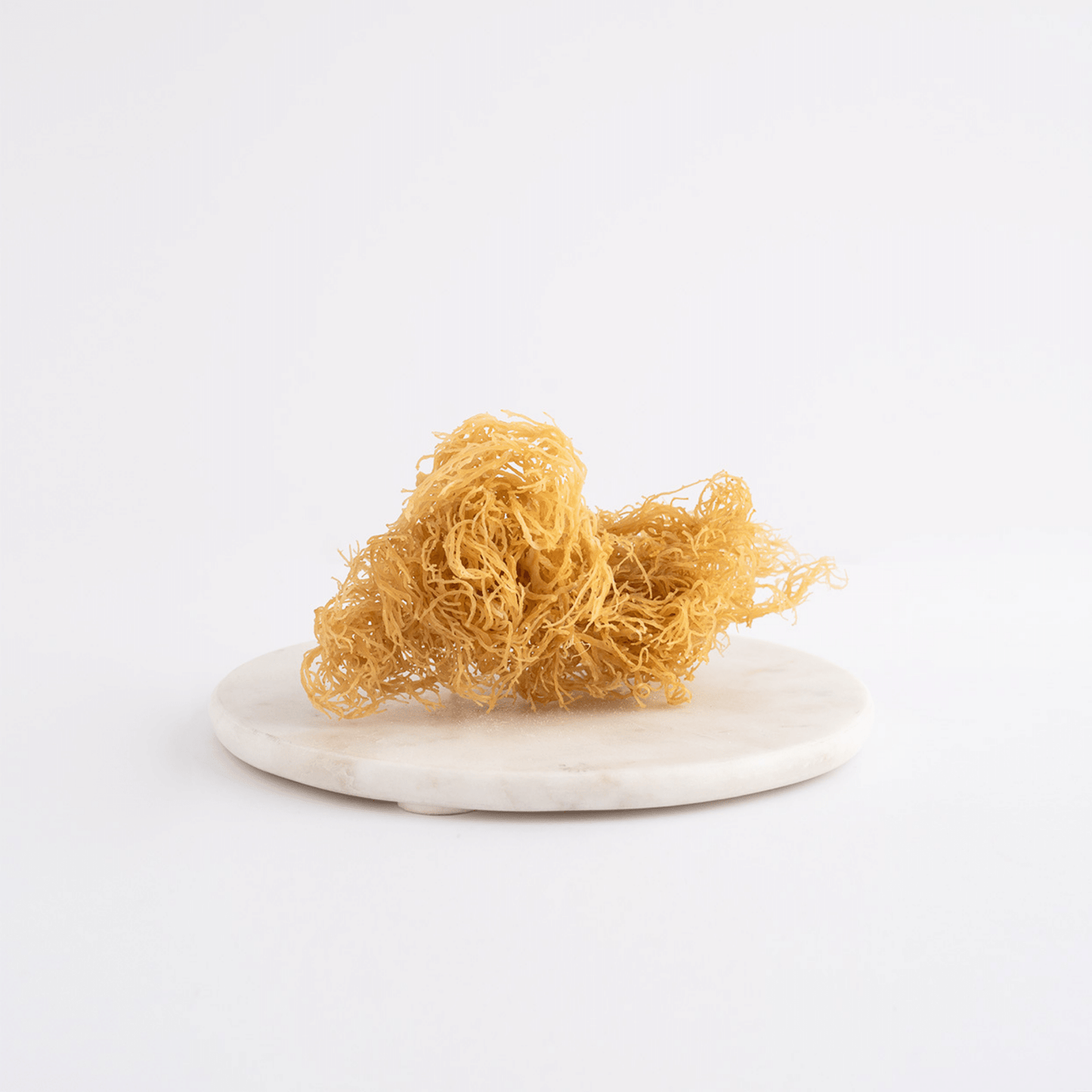 Gold Sea Moss